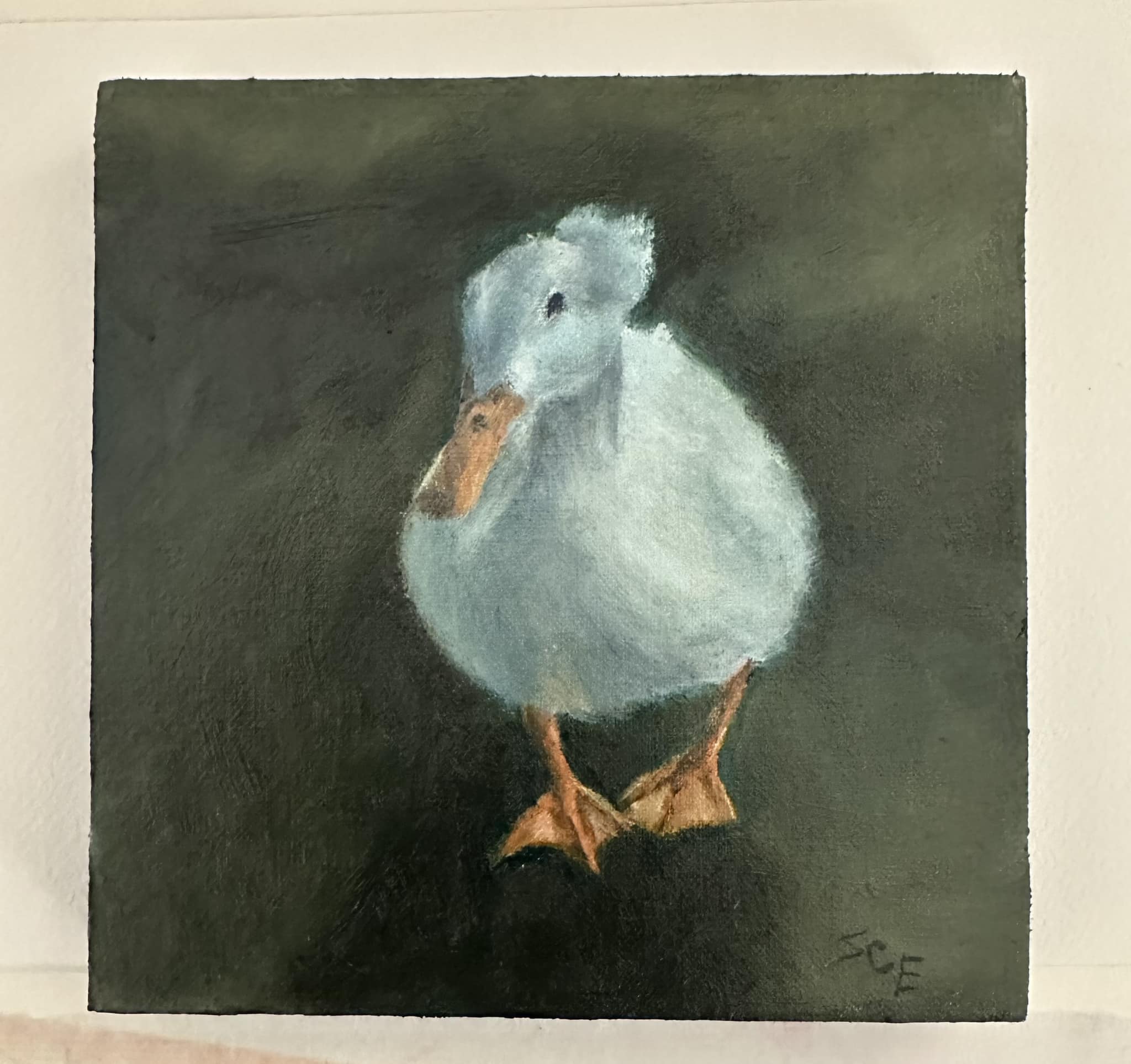 Crested Duck 6x6"
