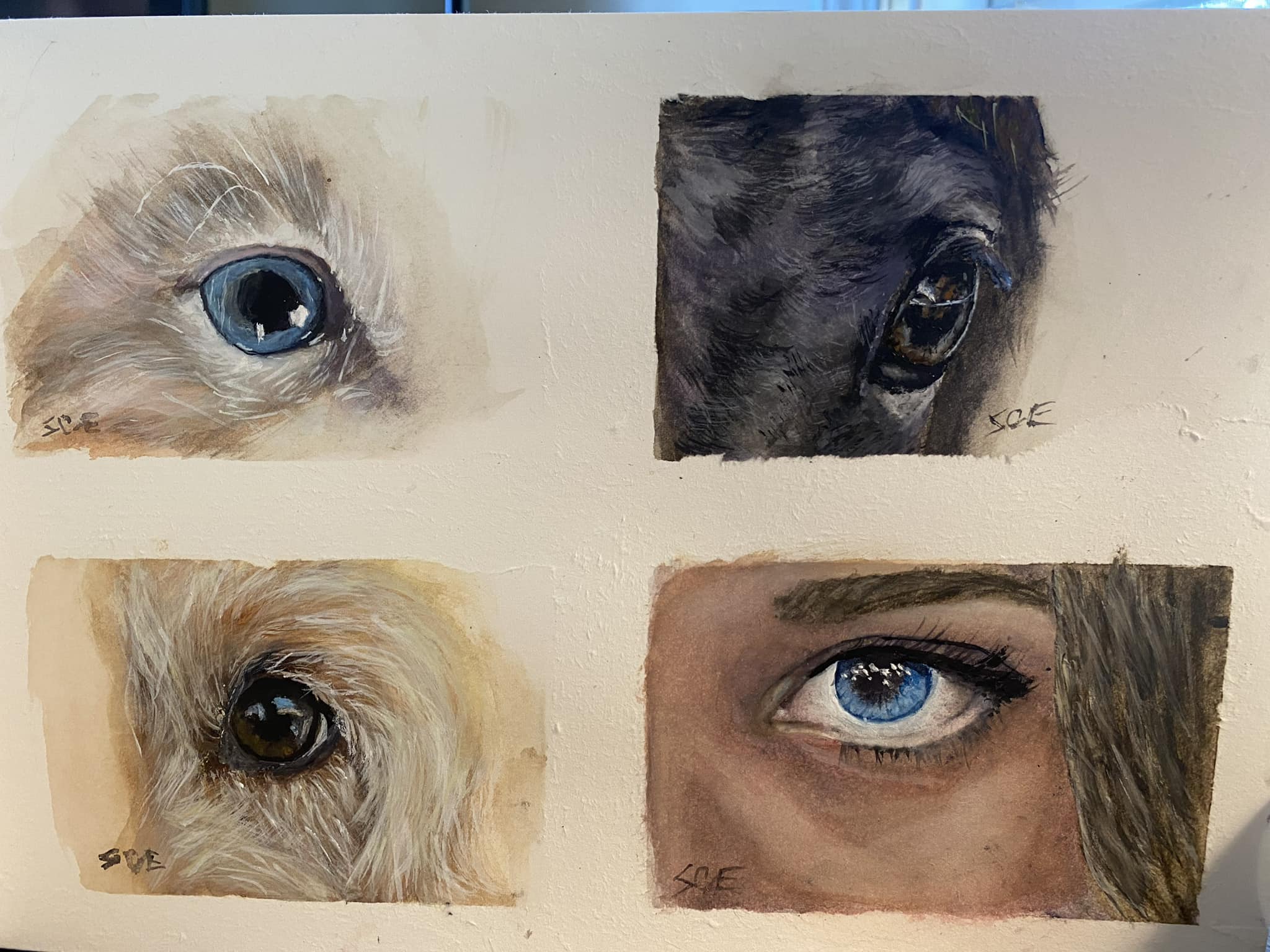 Eye Sketches