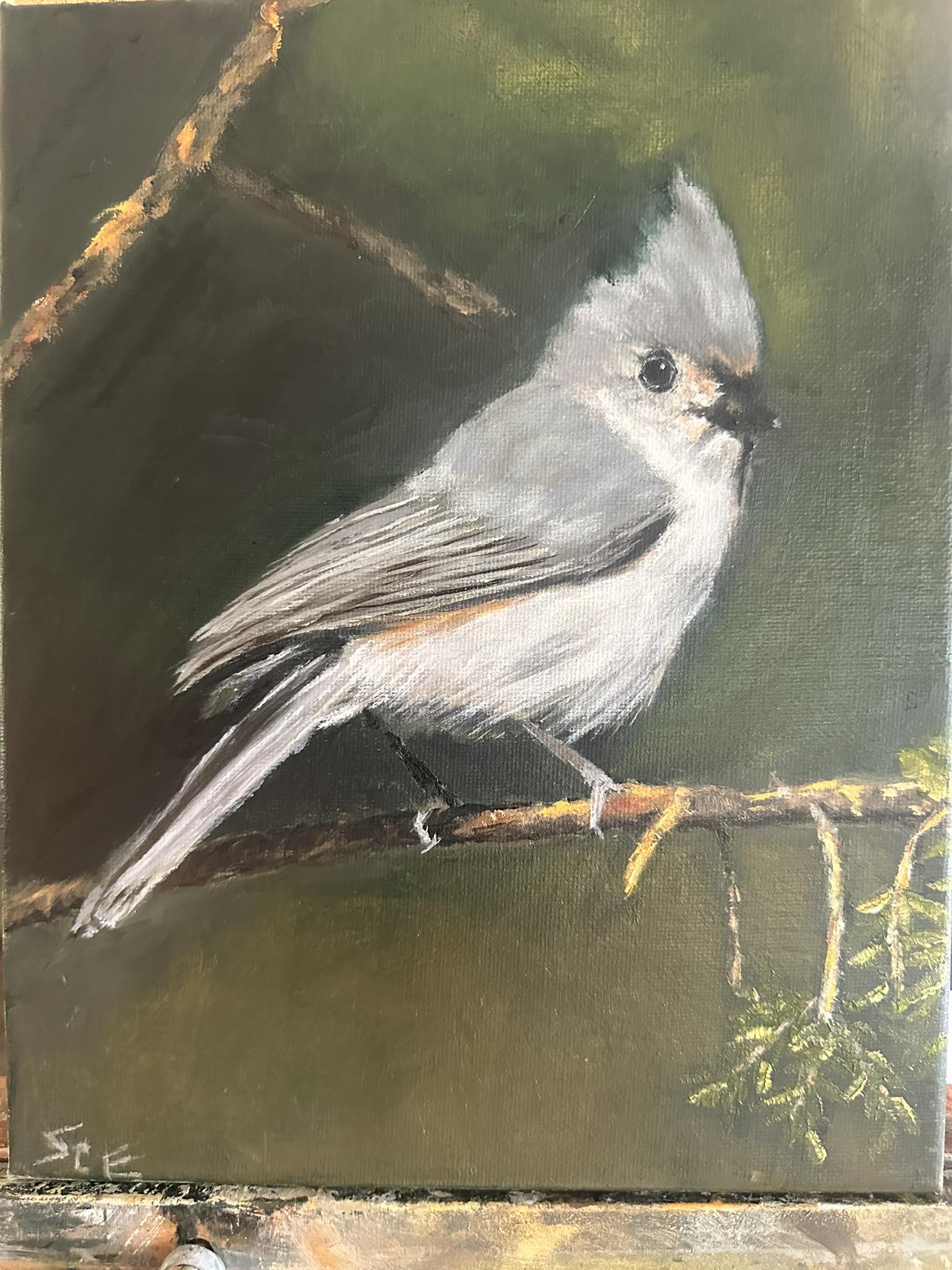 Tufted Titmouse 8x10"