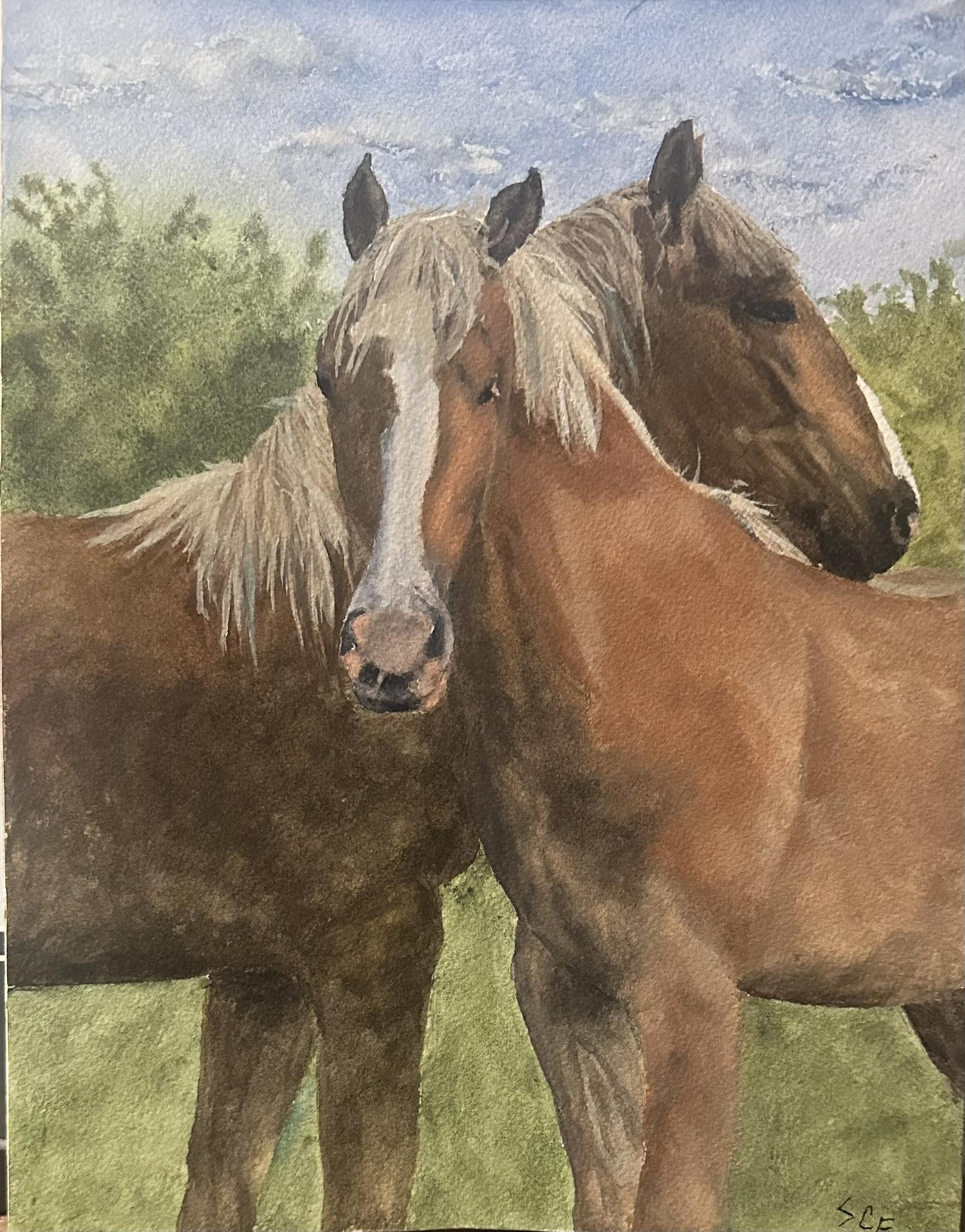 Two Horses